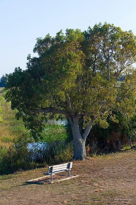 20090220_163435 D3 P1 3400x5100 srgb.jpg - Loxahatchee National Wildlife Preserve